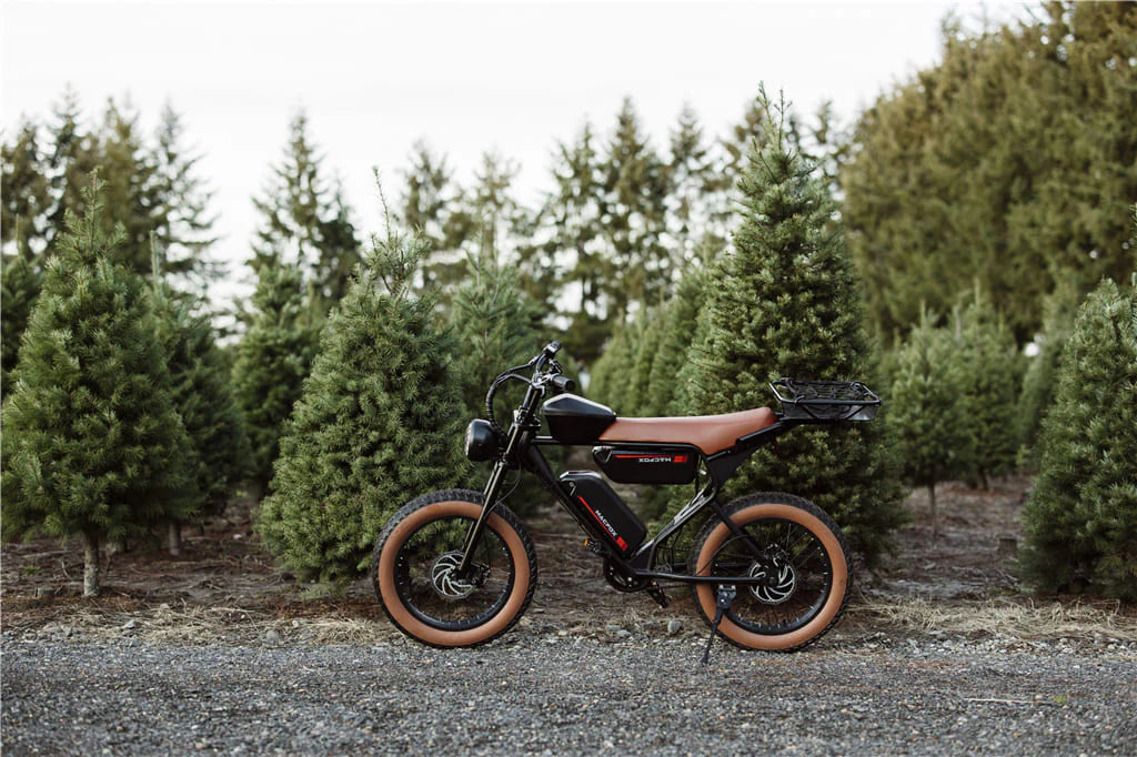 MACFOX Goanna X2 Dual Battery e-bike